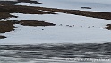 Finnmark 1090